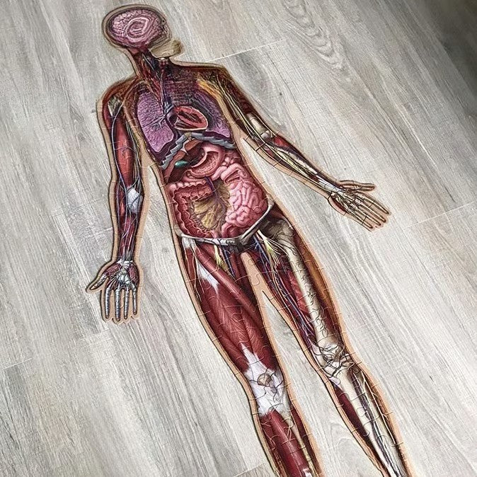 Human Anatomy Floor Puzzle for Kids – 100 Pieces