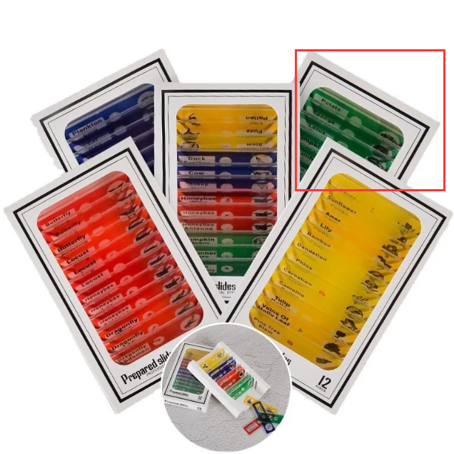 Microscope & 12-Specimen Options – Four Colors
