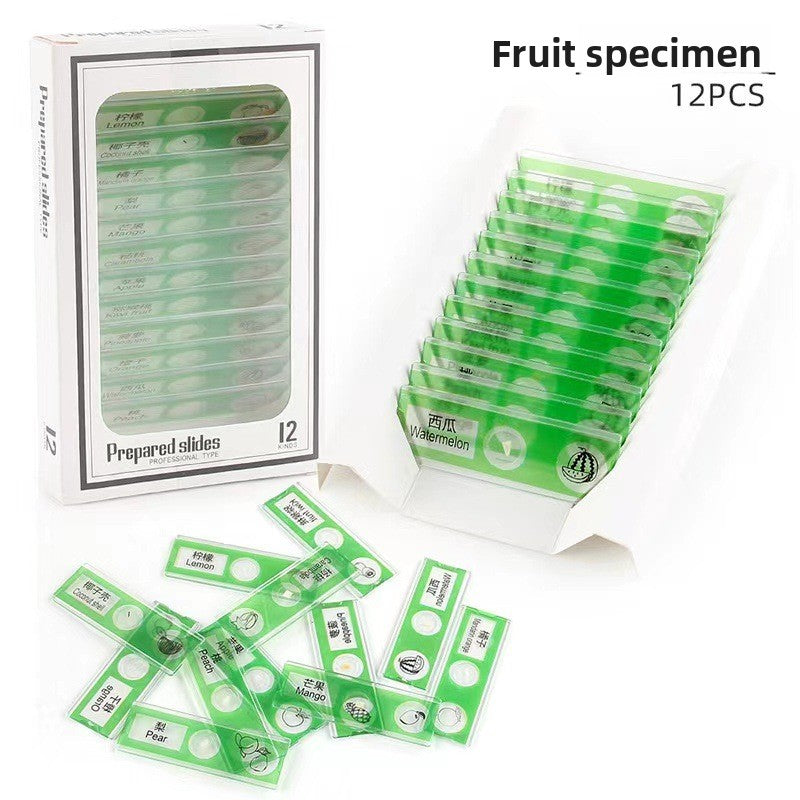 12-Piece Prepared Microscope Slides – Five Specimen Sets