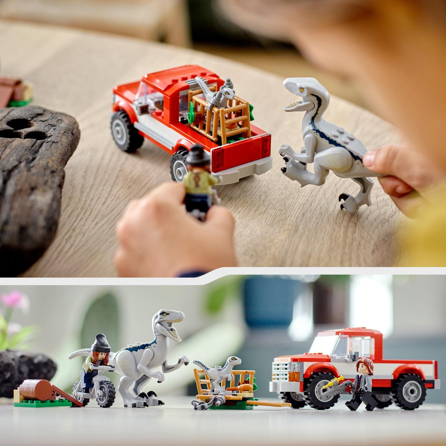 Jurassic World Dino Combo Pack 66774 Toy Value Pack, 2 in 1 Triceratops and Velociraptor Gift Set, Jurassic World Toy with Dinosaur and Truck Toys, Christmas Gift for Kids Ages 7 and Up