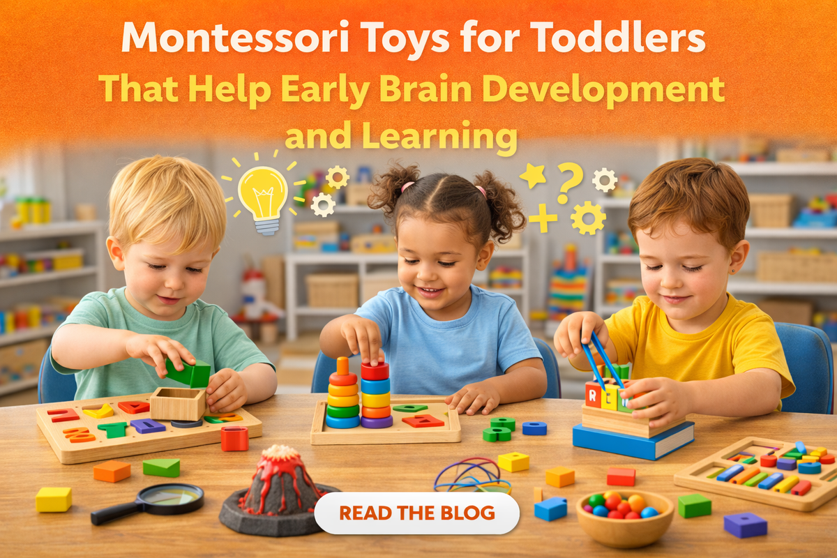 Best Montessori Toys for Toddlers 2026 | Brain and Play – Wonder Kids Toy