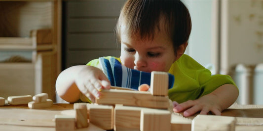 Boosting Early Childhood Development with Wooden Educational Toys
