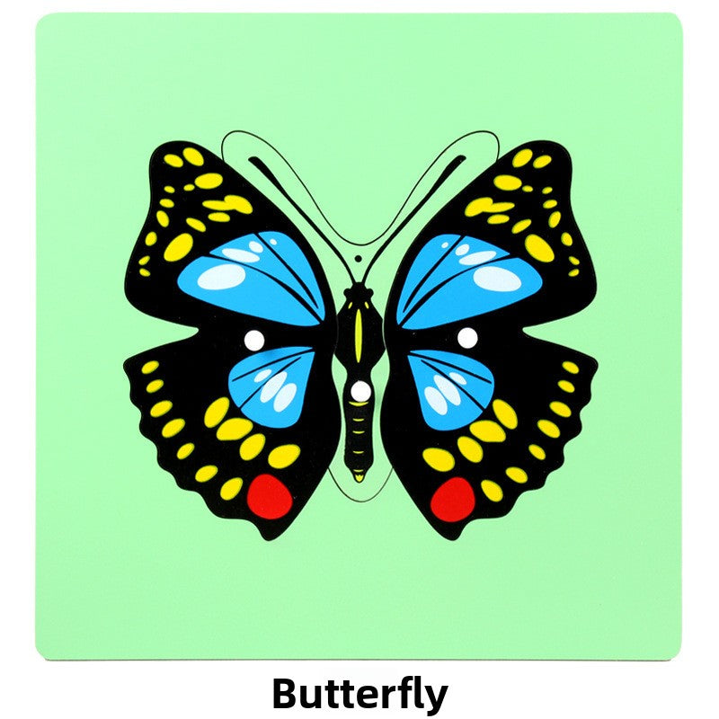 Montessori Biology Puzzle Boards for Curious Kids