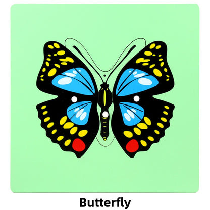 Montessori Biology Puzzle Boards for Curious Kids