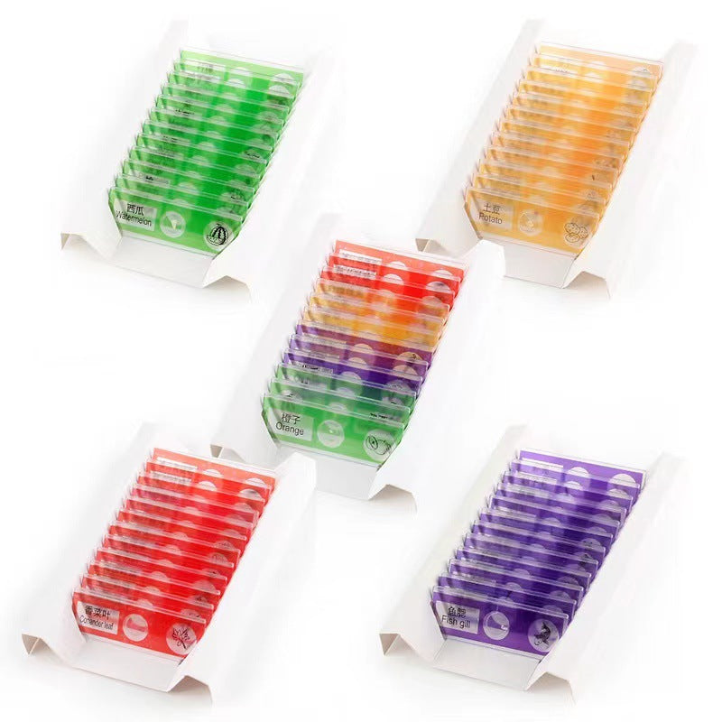 Educational Biological Microscope Toy Kit with Specimen Slices