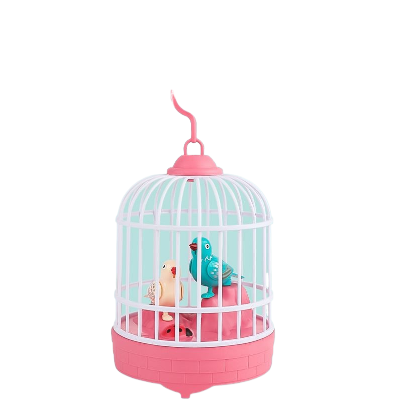 Kids Singing Bird Cage Learning Toy