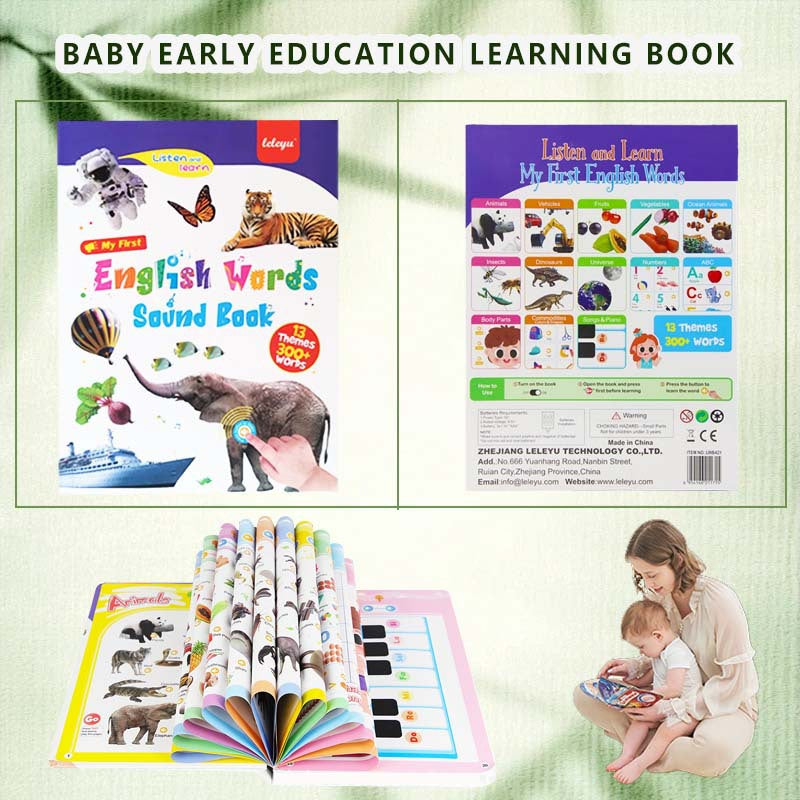 English Point Reading Voice Learning Toy