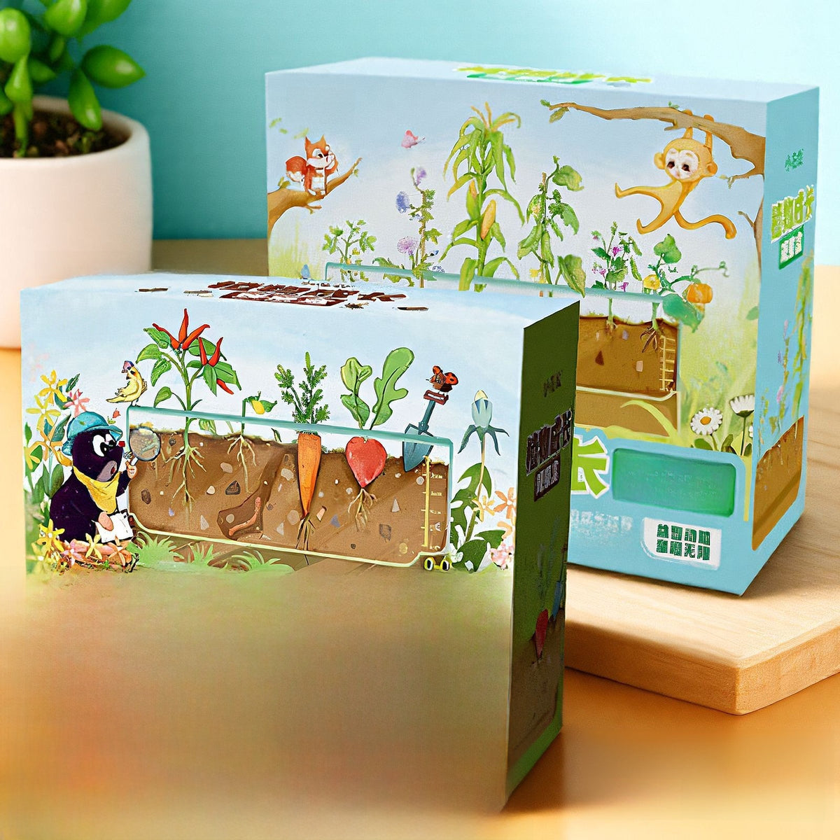 Plant Root Growth Observation Kit for Kids – Clear Planter