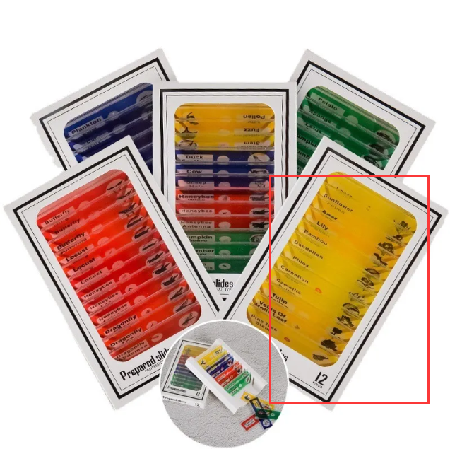 Microscope & 12-Specimen Options – Four Colors