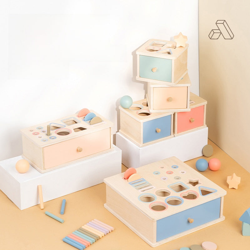 Montessori Shape and Color Matching Toy