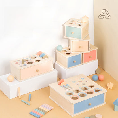Montessori Shape and Color Matching Toy