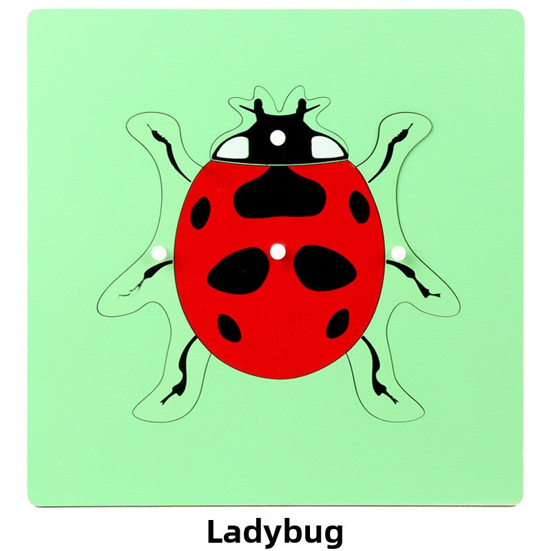 Montessori Biology Puzzle Boards for Curious Kids