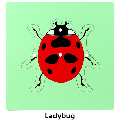 Montessori Biology Puzzle Boards for Curious Kids