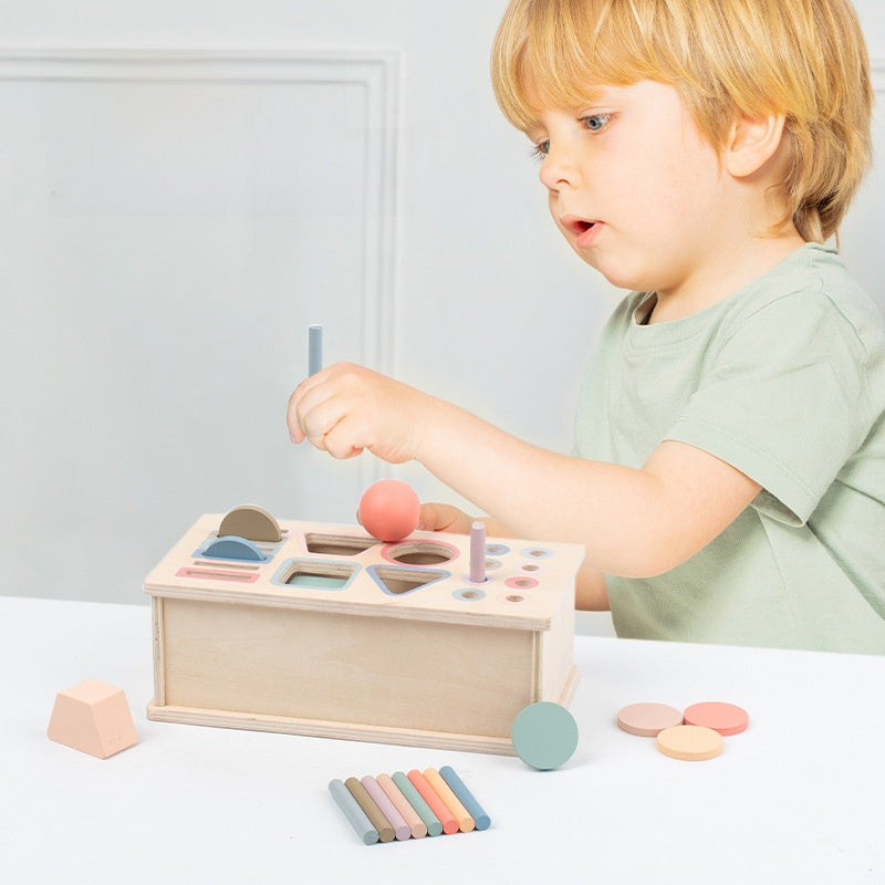 Montessori Shape and Color Matching Toy