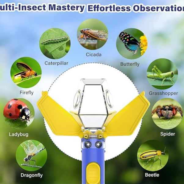 6x Insect Catcher & Magnifier – Four Colors