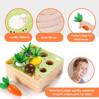 Shape Sorting Matching Montessori Wooden Toy, Farm Harvest Stem Puzzle Game with 7 Sizes, Developmental Preschool Educational Gifts for Toddlers