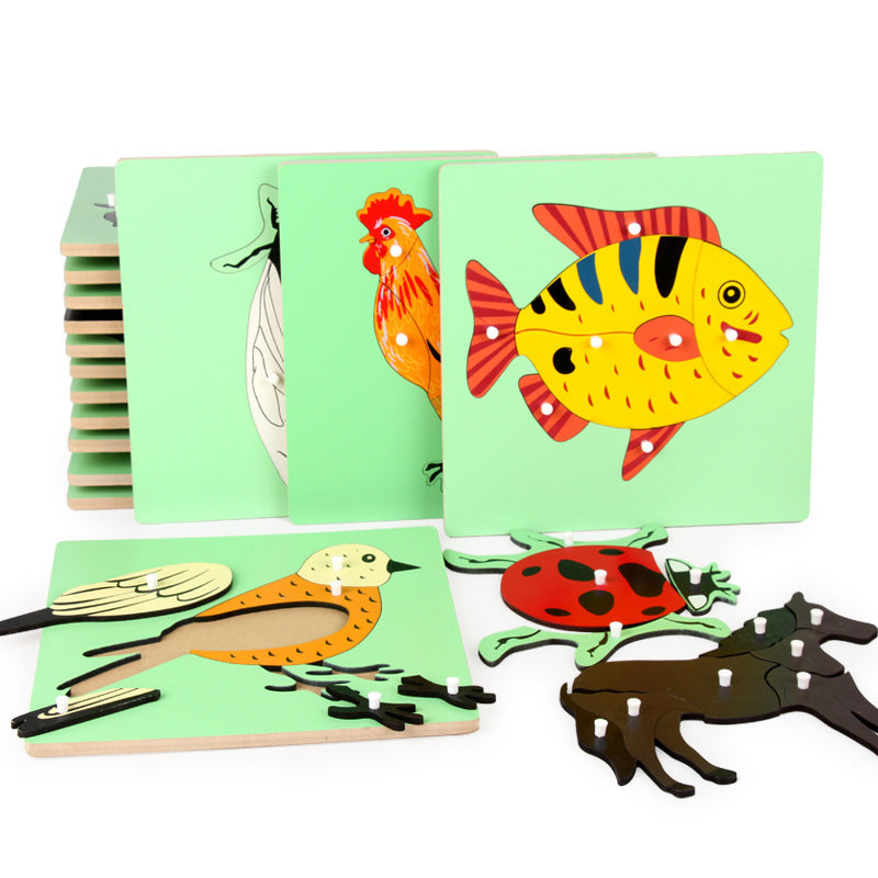 Montessori Biology Puzzle Boards for Kids