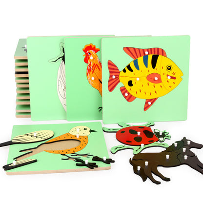 Montessori Biology Puzzle Boards for Curious Kids