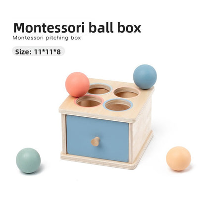 Montessori Shape and Color Matching Toy