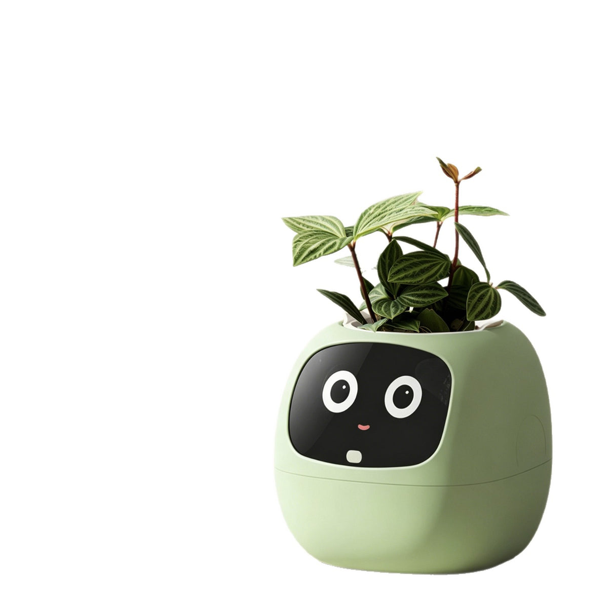 Smart Plant Companion Robot
