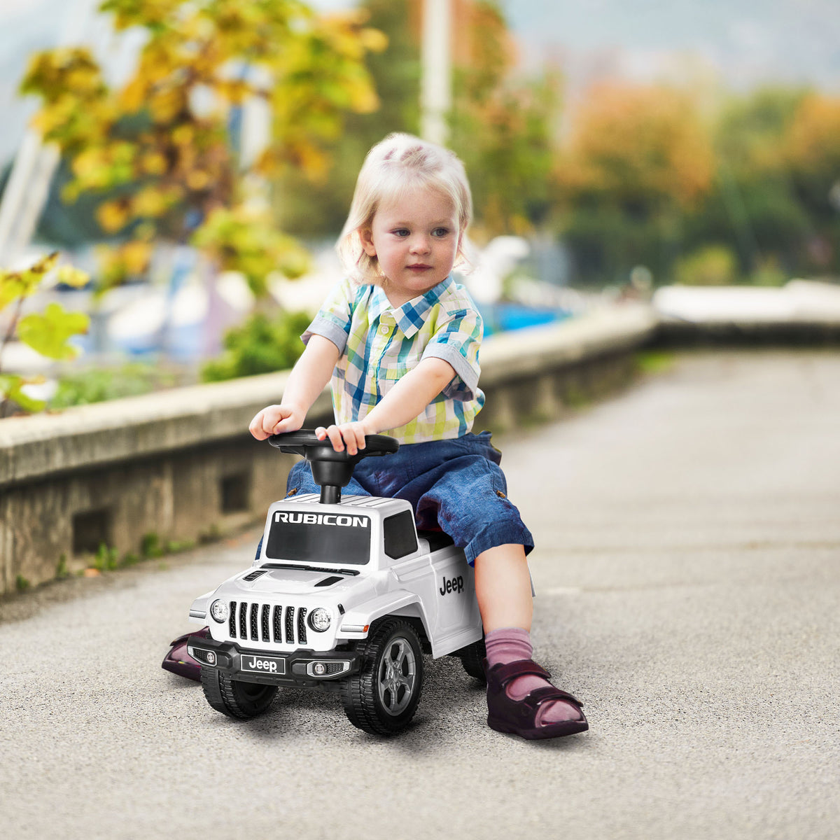 Toddler Ride-On Push Car