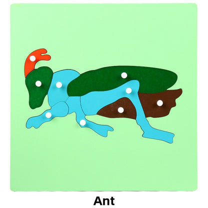 Montessori Biology Puzzle Boards for Curious Kids