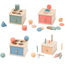 Montessori Shape and Color Matching Toy