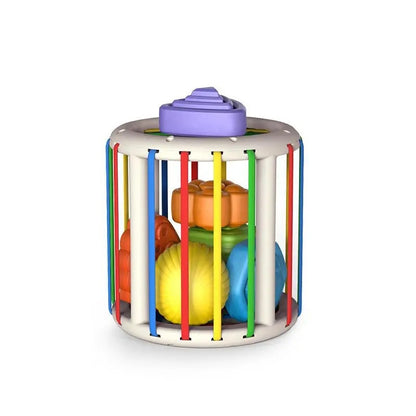 Fruit Rainbow Sensory Toy for Kids