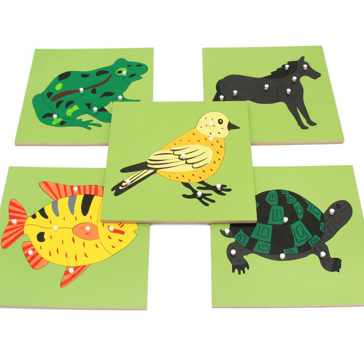 Montessori Biology Puzzle Boards for Kids
