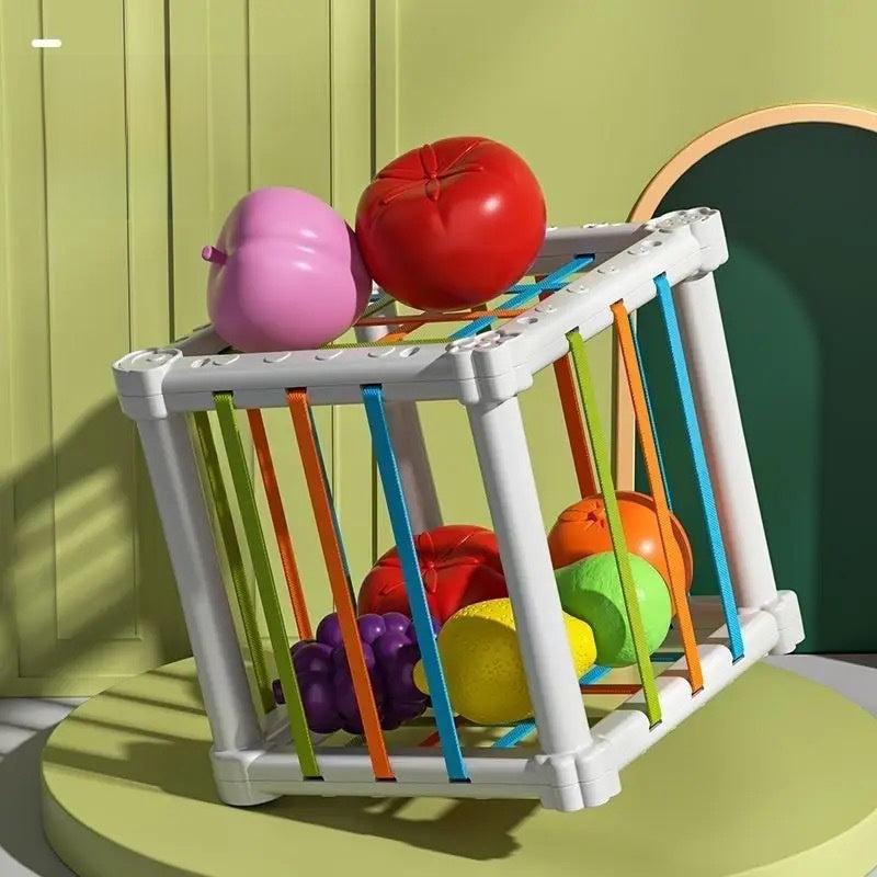 Shape Sorting Educational Toy Set for Kids