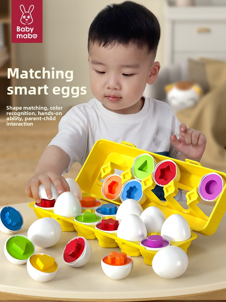 Shape Matching Eggs Learning Toy