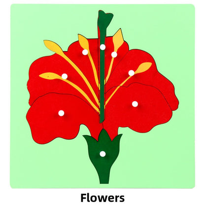 Montessori Biology Puzzle Boards for Curious Kids