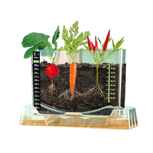 Plant Root Growth Observation Kit for Kids – Clear Planter Wonder Kids Toy