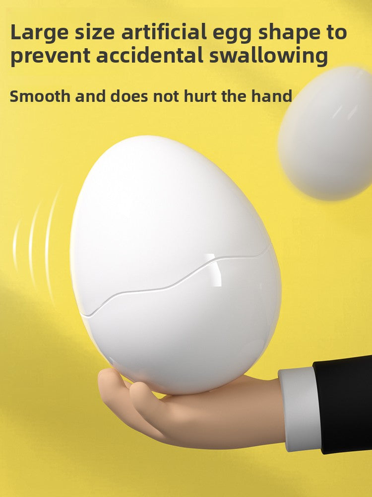 Shape Matching Eggs Learning Toy