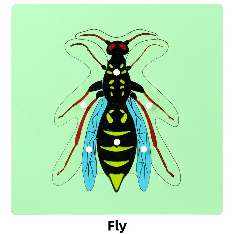 Montessori Biology Puzzle Boards for Kids Flies