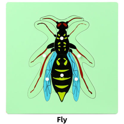 Montessori Biology Puzzle Boards for Curious Kids