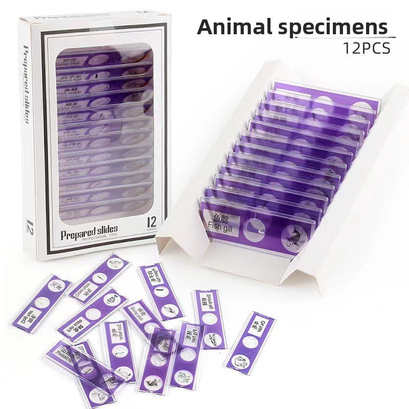 Educational Biological Microscope Toy Kit with Specimen Slices