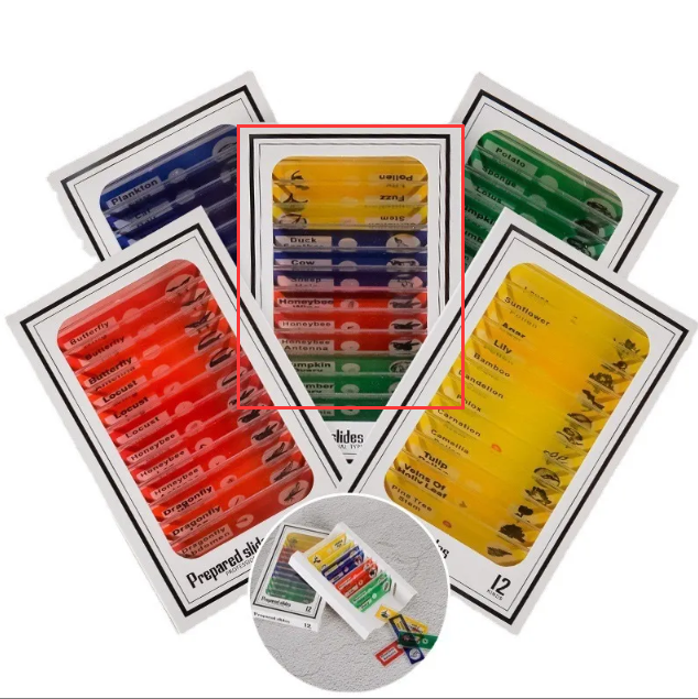 Microscope & 12-Specimen Options – Four Colors