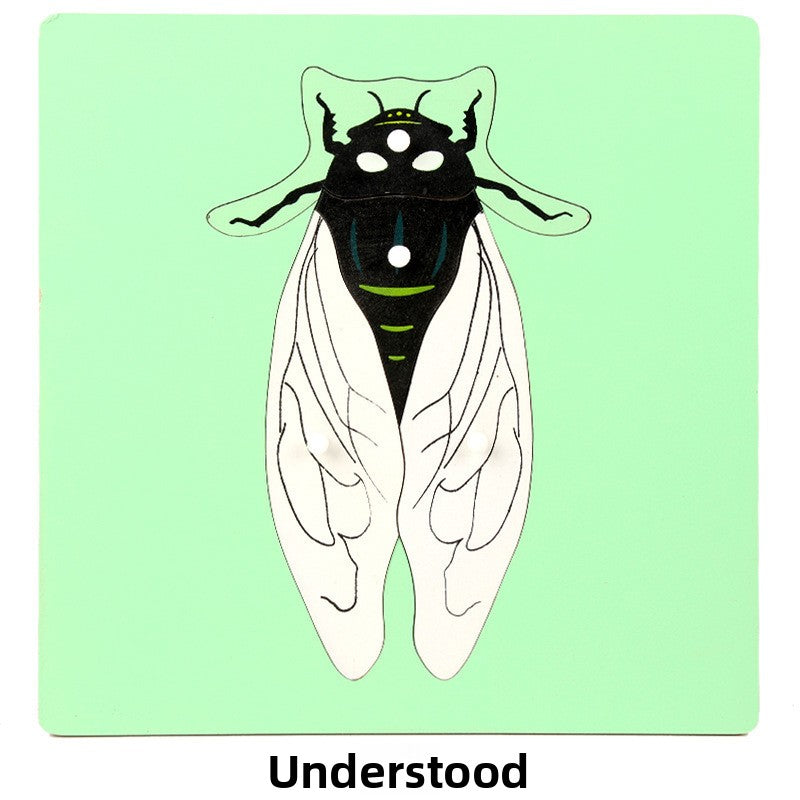 Montessori Biology Puzzle Boards for Curious Kids