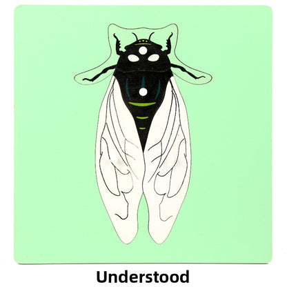 Montessori Biology Puzzle Boards for Curious Kids