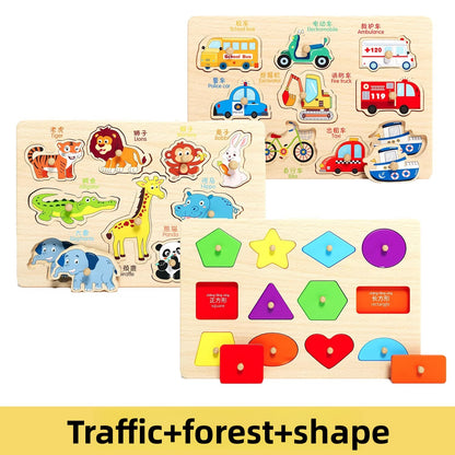 Montessori Wooden Educational Puzzle Board