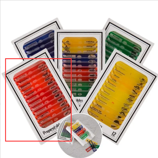 Microscope & 12-Specimen Options – Four Colors