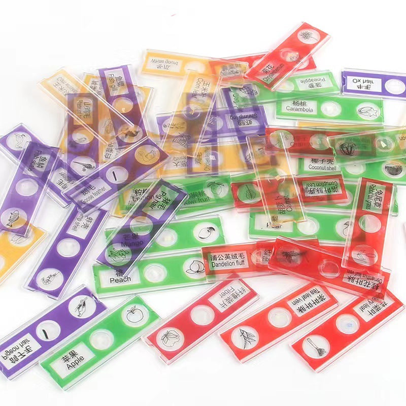 Educational Biological Microscope Toy Kit with Specimen Slices