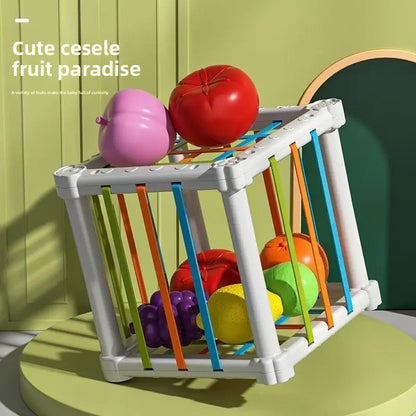 Fruit Rainbow Sensory Toy for Kids