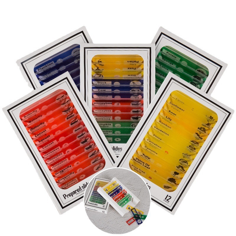 Microscope & 12-Specimen Options – Four Colors