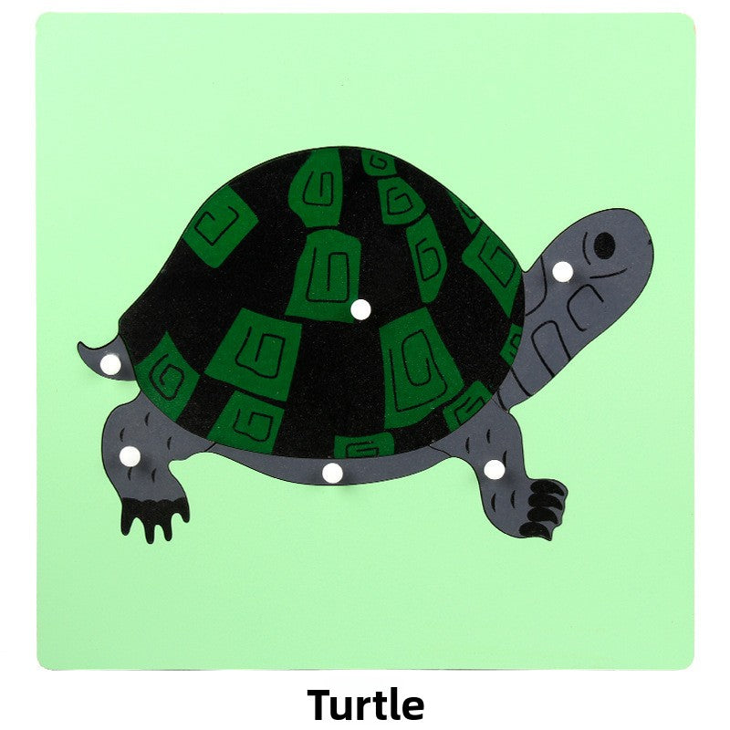 Montessori Biology Puzzle Boards for Curious Kids