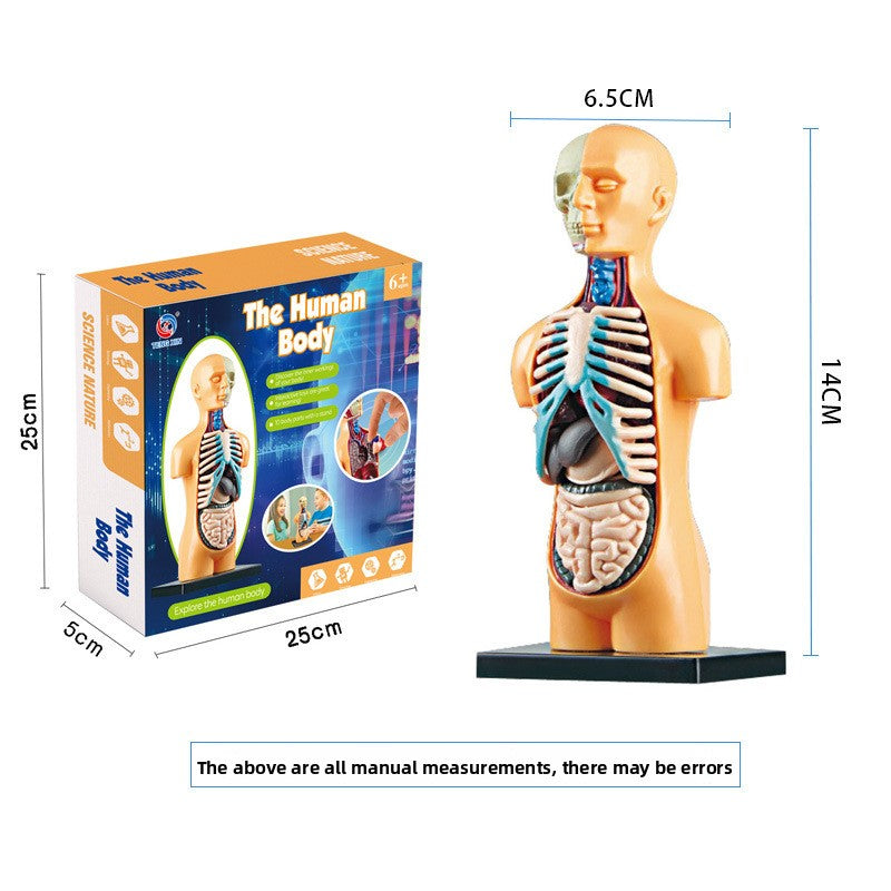 Educational Skeleton Model for Science Learning