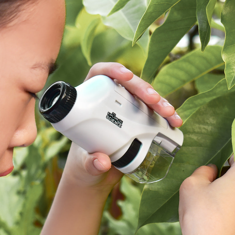 LED Pocket Microscope – Colors & Specimen Option