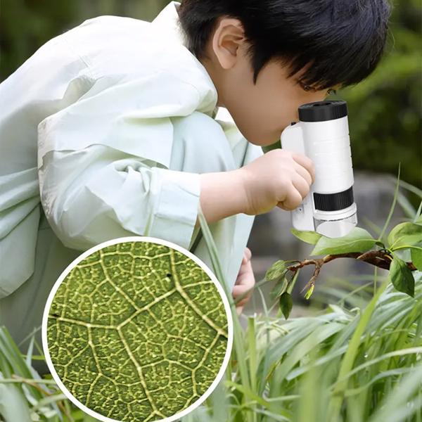 1200x Beginner Microscope Kit for Kids Ages 8+
