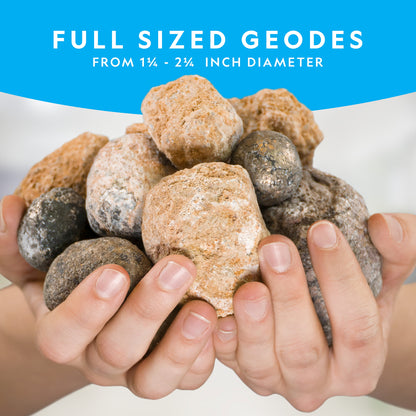 15 Premium Geodes STEM Geology Science Kit for Kids and Adults